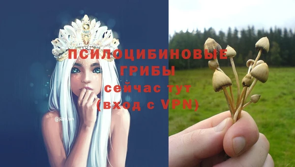 экстази Алексеевка
