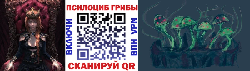 Галлюциногенные грибы мицелий  мега tor  Мичуринск 